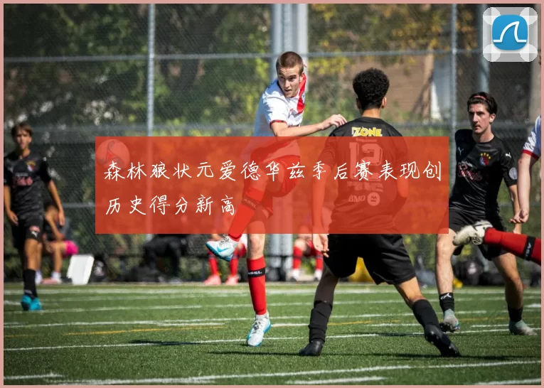 森林狼状元爱德华兹季后赛表现创历史得分新高