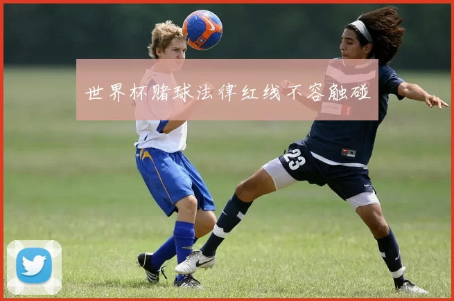 世界杯赌球法律红线不容触碰