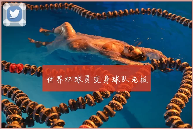 世界杯球员变身球队老板