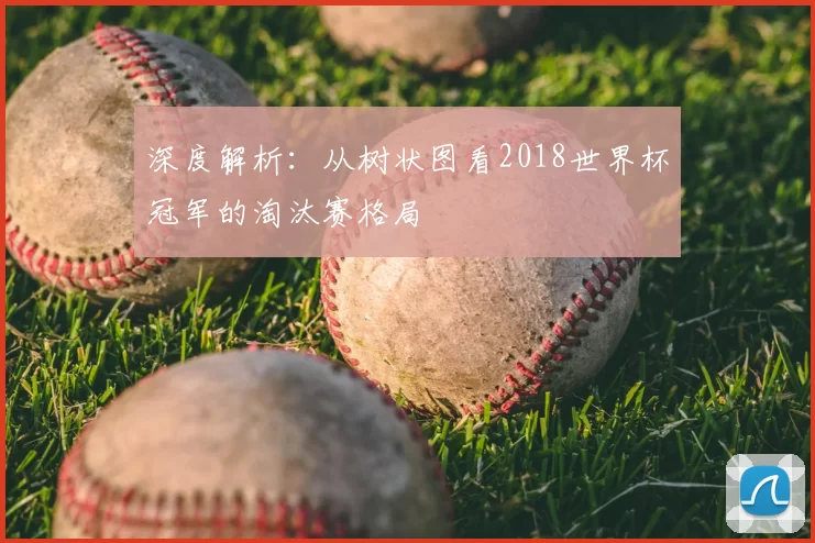 深度解析:从树状图看2018世界杯冠军的淘汰赛格局