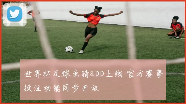 世界杯足球竞猜app上线 官方赛事投注功能同步开放