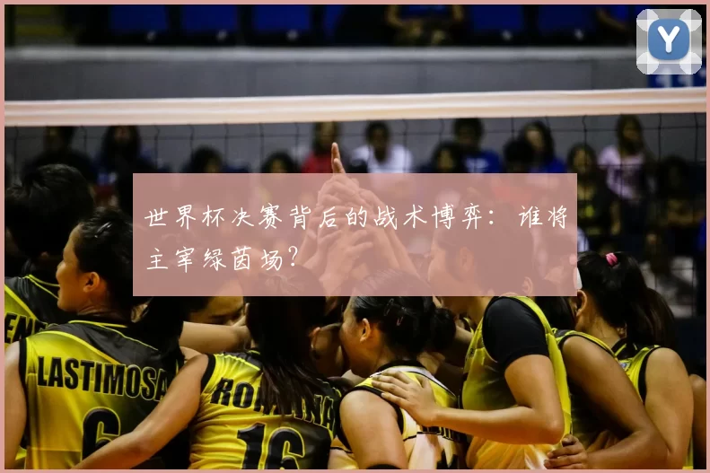 世界杯决赛背后的战术博弈：谁将主宰绿茵场？