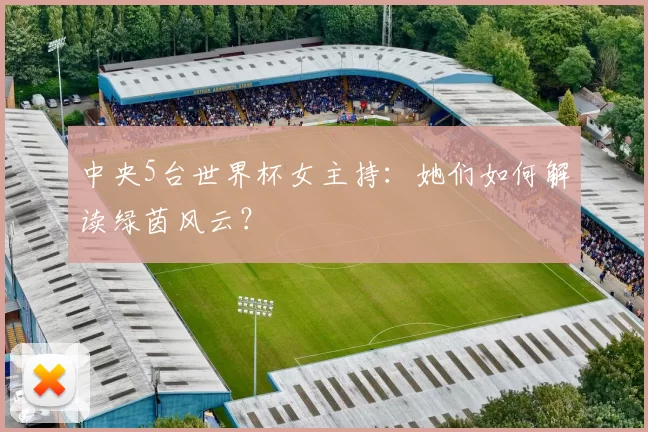 中央5台世界杯女主持:她们如何解读绿茵风云?