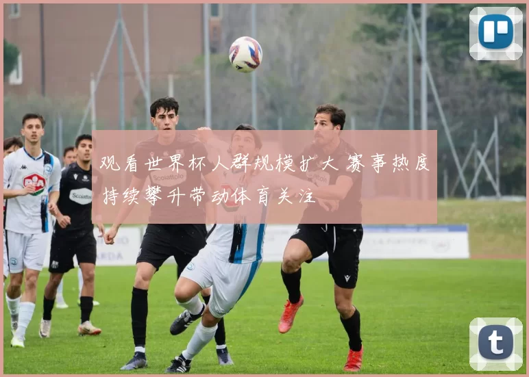 观看世界杯人群规模扩大 赛事热度持续攀升带动体育关注