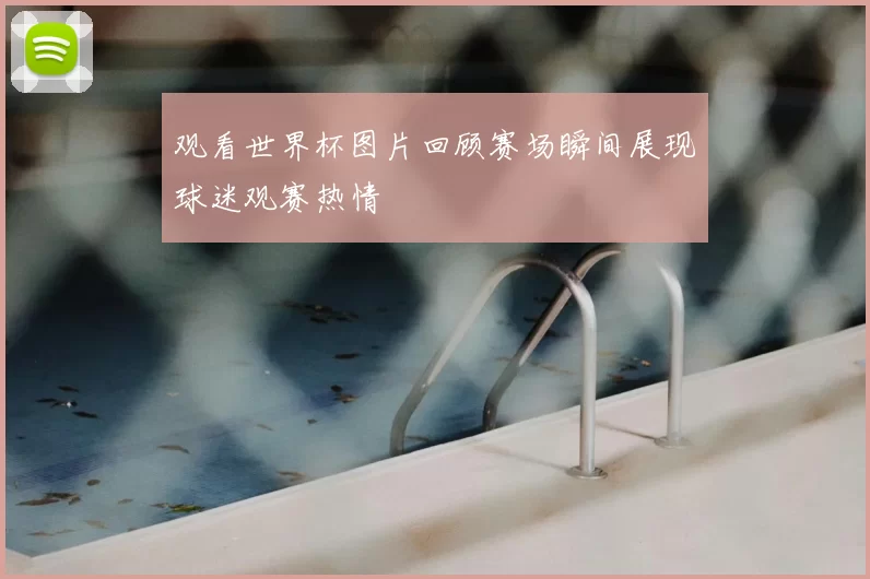 观看世界杯图片回顾赛场瞬间展现球迷观赛热情