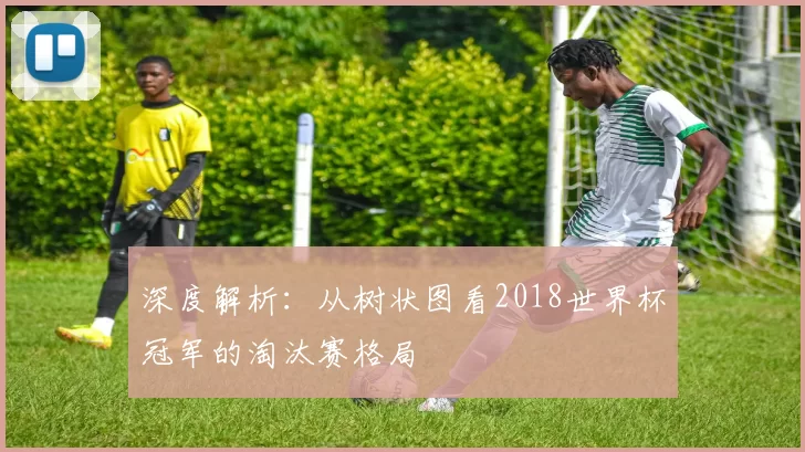 深度解析:从树状图看2018世界杯冠军的淘汰赛格局