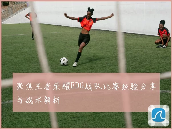 聚焦王者荣耀EDG战队比赛经验分享与战术解析