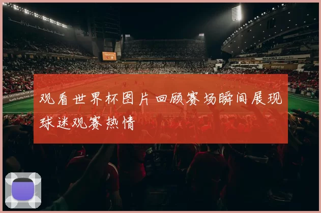 观看世界杯图片回顾赛场瞬间展现球迷观赛热情