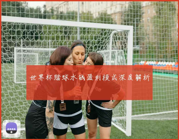 世界杯赌球水钱盈利模式深度解析