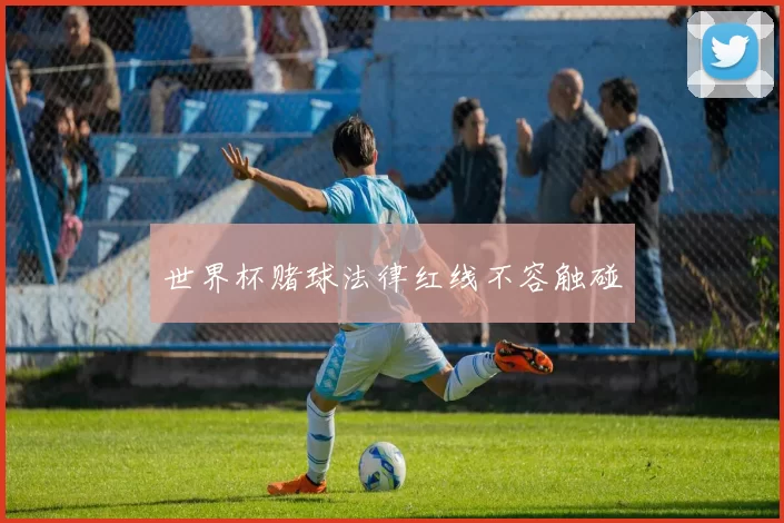 世界杯赌球法律红线不容触碰