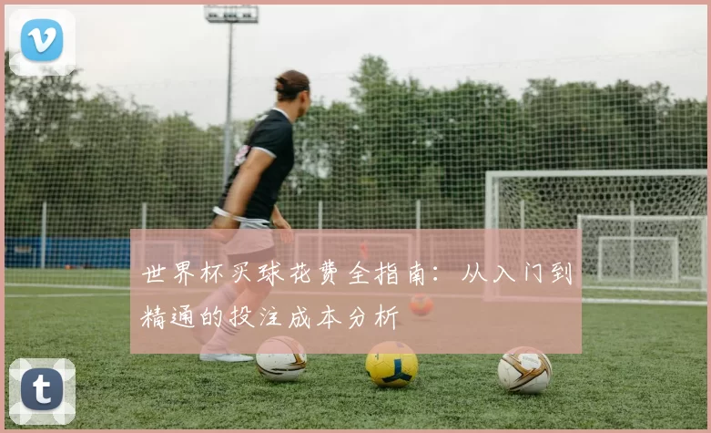 世界杯买球花费全指南：从入门到精通的投注成本分析