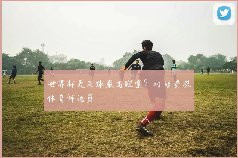 世界杯是足球最高殿堂？对话资深体育评论员