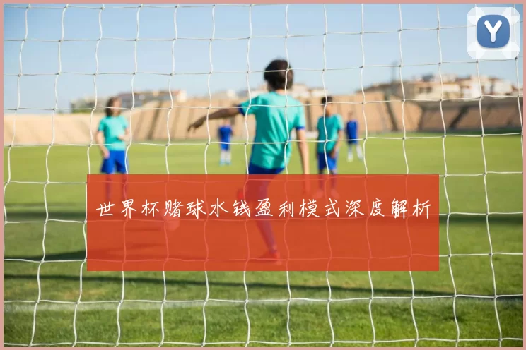 世界杯赌球水钱盈利模式深度解析